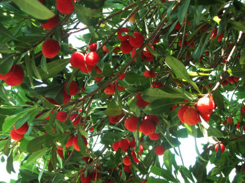 廣州裝修設計公司活動.jpg 廣州裝修設計公司活動.jpg