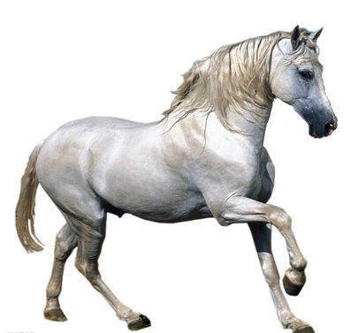 辦公室裝修馬.jpg 辦公室裝修馬.jpg