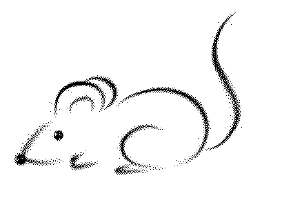 辦公室裝修風水鼠.png 辦公室裝修風水鼠.png