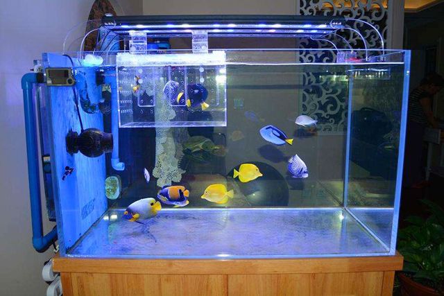 辦公室裝修魚缸擺放風水.jpg 辦公室裝修魚缸擺放風水.jpg