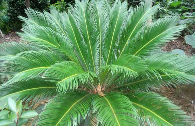 辦公室裝修風水.jpg 辦公室裝修風水.jpg