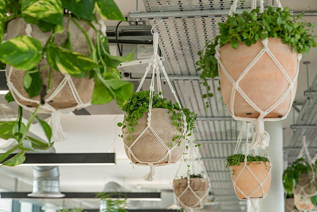 美容院裝修設(shè)計(jì) 美容院裝修設(shè)計(jì)