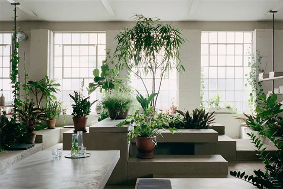 廣州辦公室裝修設計 廣州辦公室裝修設計